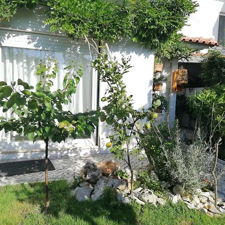 Silver Homestay szállás Nazaré