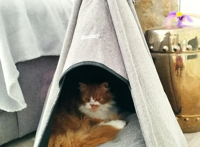 Silver Ubytování v soukromí *