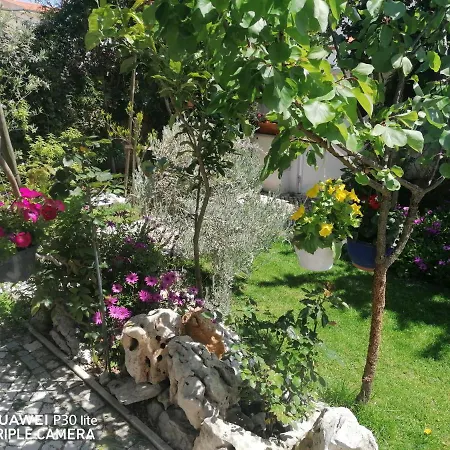 Проживание в семье Silver *