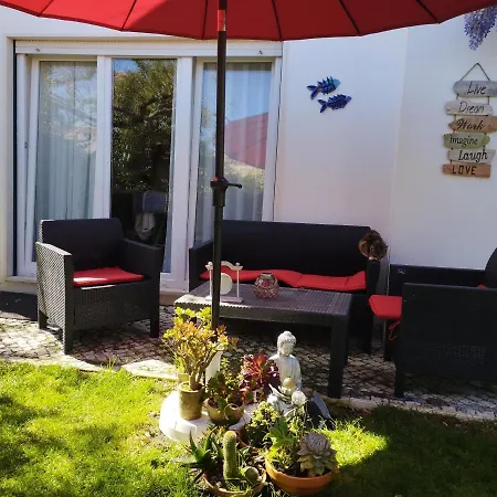 Silver Проживание в семье