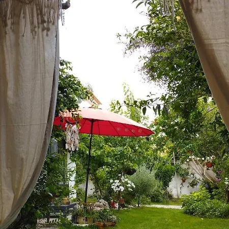 Silver * Назаре