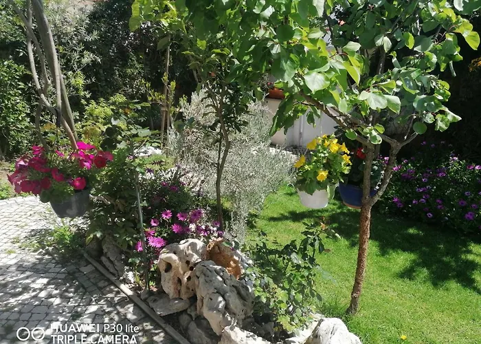 홈스테이 Silver *